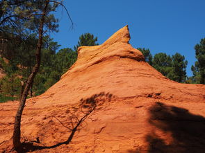 开云网址入口-一日英超动态阿莫林自信发声转会话题升温，阿莫子林