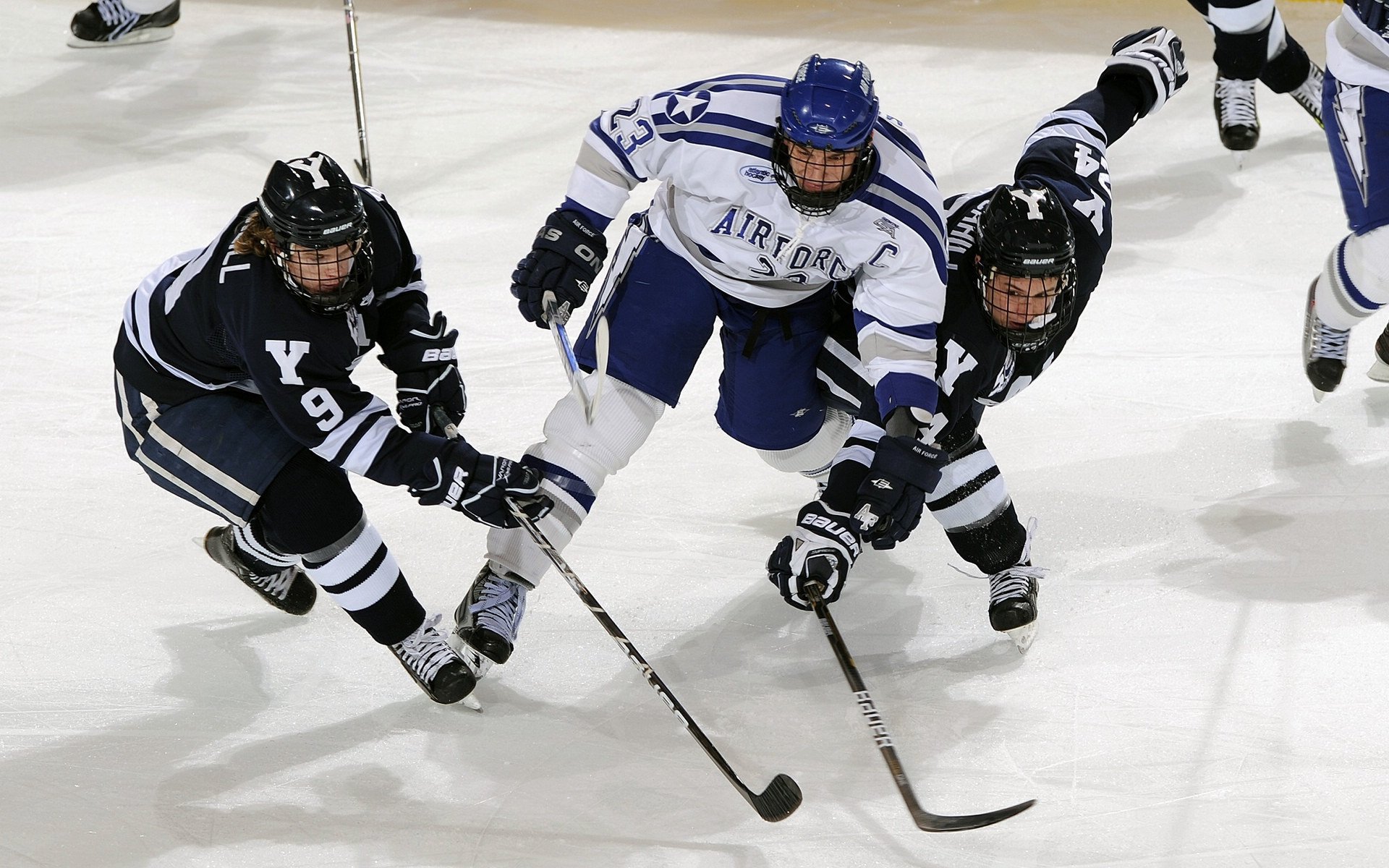 体育焦点赛事最新消息，体育新闻最新消息今天